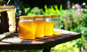 Barattoli di miele dorato, con un favo e un'ape. Le diverse tonalità mostrano le caratteristiche del miele.