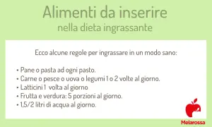 Guida per come prendere peso con un metabolismo veloce: pane, pasta, carne, pesce, uova, legumi, latticini, frutta, verdura e acqua.
