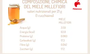 Composizione chimica del miele millefiori: valori nutrizionali per 21g. Scopri le proprietà del miele millefiori, ricco di zuccheri e carboidrati.