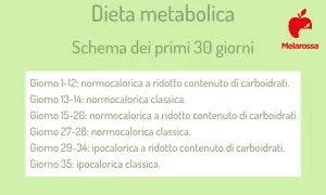 Schema di dieta metabolica per i primi 30 giorni, con fasi normocaloriche e ipocaloriche, per accelerare il metabolismo.