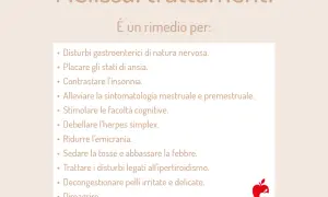 Melissa: trattamenti per disturbi nervosi, ansia, insonnia, emicrania e altro. Le sue proprietà la rendono un valido aiuto.