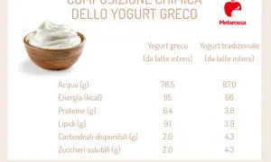 Yogurt greco cremoso in ciotola di legno, con tabella comparativa nutrizionale.