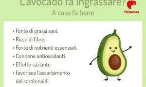L'avocado fa dimagrire? Sì, grazie a grassi sani, fibre e effetto saziante. Scopri i suoi benefici.