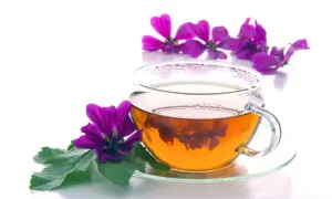 Tazza di vetro con decotto di malva fresca, fiori viola e foglie verdi. Un infuso rilassante, perfetto per le giuste dosi.