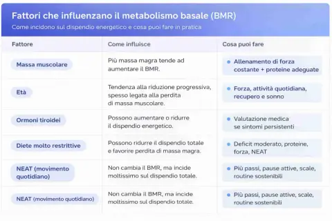 Tabella sui fattori che influenzano il metabolismo basale (BMR): massa muscolare, età, ormoni tiroidei, diete e NEAT.