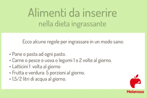 Guida per come prendere peso con un metabolismo veloce: pane, pasta, carne, pesce, uova, legumi, latticini, frutta, verdura e acqua.