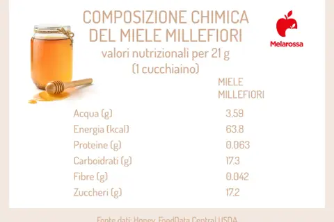 Composizione chimica del miele millefiori: valori nutrizionali per 21g. Scopri le proprietà del miele millefiori, ricco di zuccheri e carboidrati.
