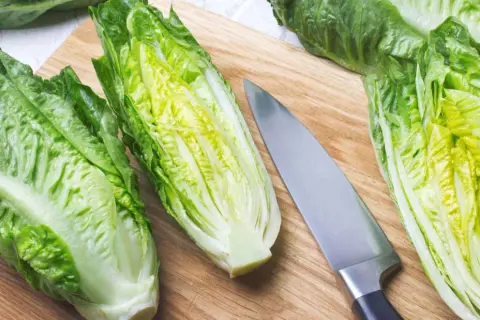 Lattuga romana su tagliere con coltello. Attenzione, lattuga cotta fa male.