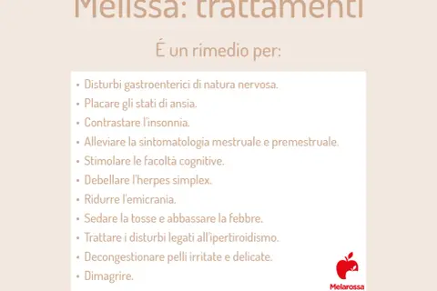 Melissa: trattamenti per disturbi nervosi, ansia, insonnia, emicrania e altro. Le sue proprietà la rendono un valido aiuto.