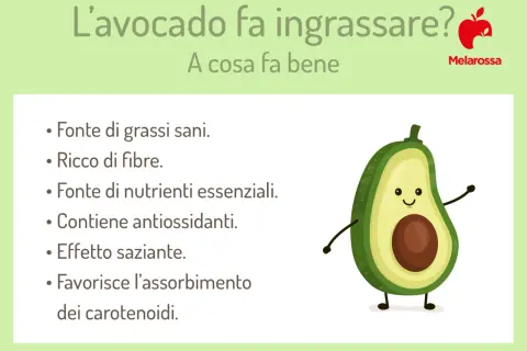 L'avocado fa dimagrire? Sì, grazie a grassi sani, fibre e effetto saziante. Scopri i suoi benefici.