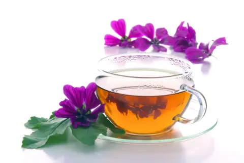 Tazza di vetro con decotto di malva fresca, fiori viola e foglie verdi. Un infuso rilassante, perfetto per le giuste dosi.