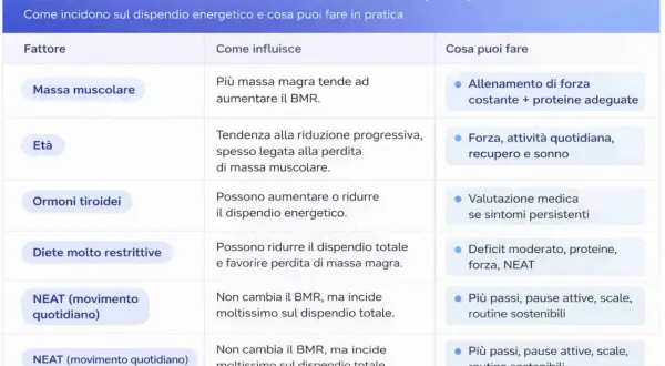 Tabella sui fattori che influenzano il metabolismo basale (BMR): massa muscolare, età, ormoni tiroidei, diete e NEAT.