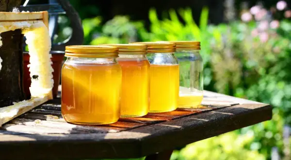 Barattoli di miele dorato, con un favo e un'ape. Le diverse tonalità mostrano le caratteristiche del miele.