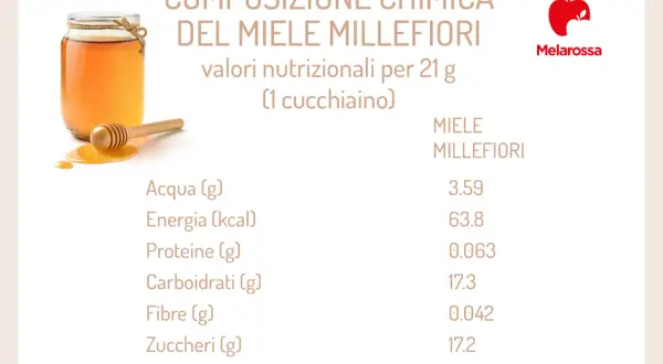 Composizione chimica del miele millefiori: valori nutrizionali per 21g. Scopri le proprietà del miele millefiori, ricco di zuccheri e carboidrati.