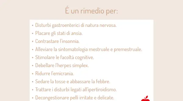 Melissa: trattamenti per disturbi nervosi, ansia, insonnia, emicrania e altro. Le sue proprietà la rendono un valido aiuto.