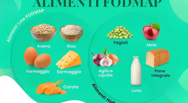 Elenco alimenti che non fermentano nell'intestino: avena, riso, formaggio, carote, fagioli, mele, aglio, cipolle, latte, pane integrale.