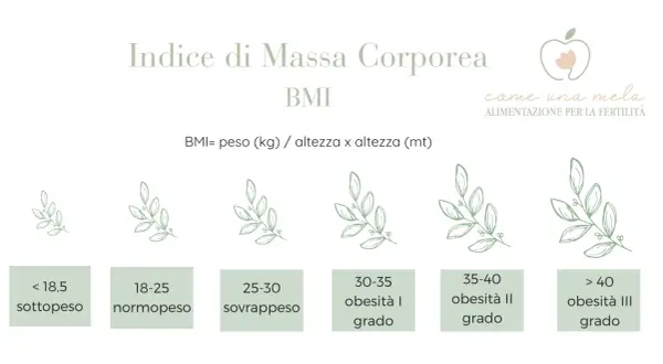 Indice di Massa Corporea (BMI) con categorie: sottopeso, normopeso (peso forma), sovrappeso e vari gradi di obesità.