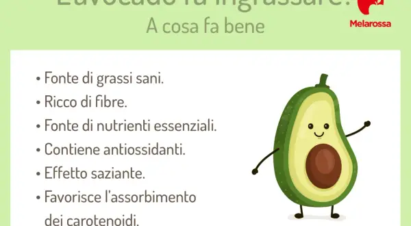 L'avocado fa dimagrire? Sì, grazie a grassi sani, fibre e effetto saziante. Scopri i suoi benefici.