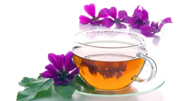 Tazza di vetro con decotto di malva fresca, fiori viola e foglie verdi. Un infuso rilassante, perfetto per le giuste dosi.