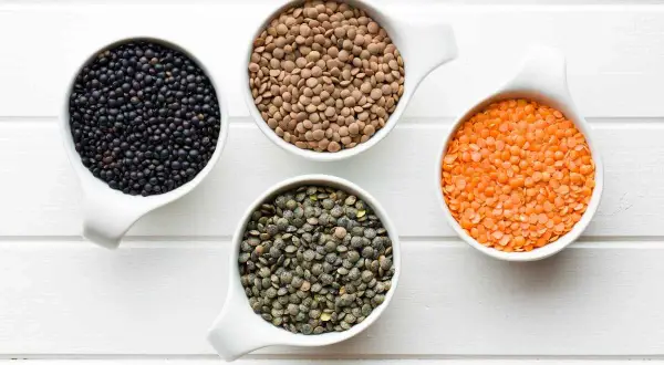 Quattro ciotole bianche mostrano cosa sono le lenticchie: nere, marroni, verdi e rosse, disposte su uno sfondo di legno bianco.