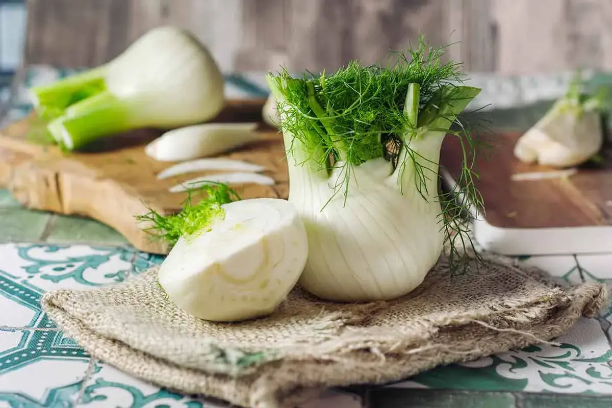 Finocchi freschi, uno intero e uno tagliato a metà, con le loro verdi e profumate foglie. Ricorda che i finocchi sono lassativi.