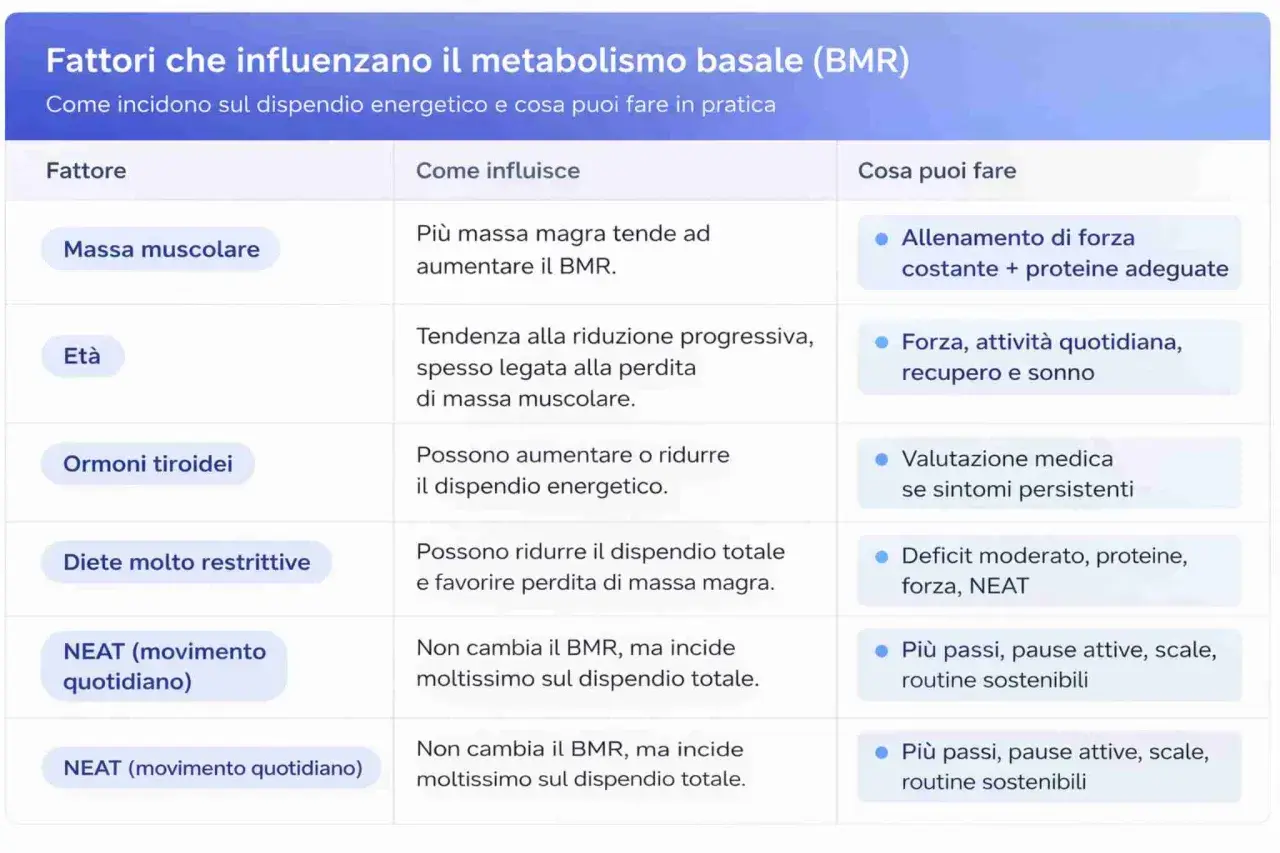 Tabella sui fattori che influenzano il metabolismo basale (BMR): massa muscolare, età, ormoni tiroidei, diete e NEAT.