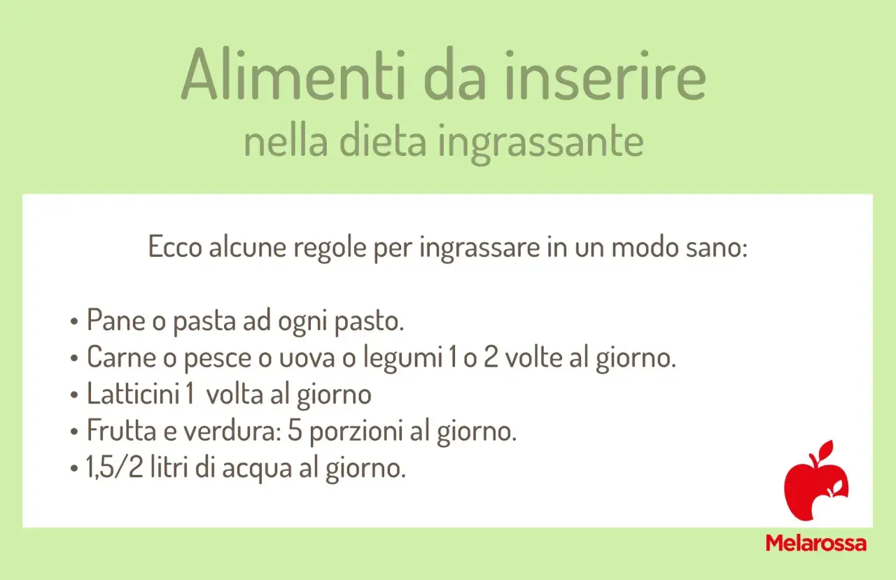 Guida per come prendere peso con un metabolismo veloce: pane, pasta, carne, pesce, uova, legumi, latticini, frutta, verdura e acqua.