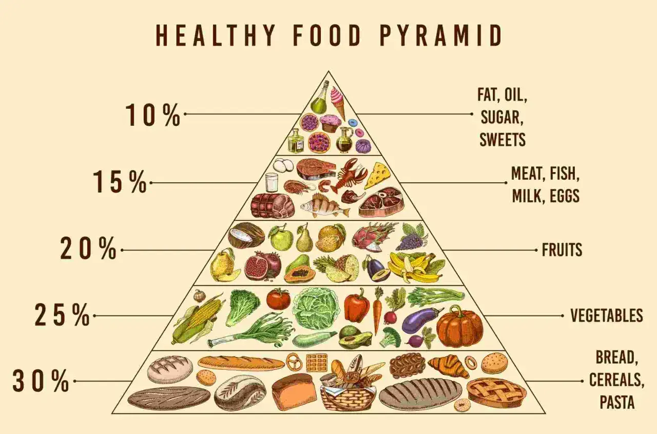 La piramide alimentare dieta mediterranea mostra cereali, verdura, frutta, proteine e grassi.