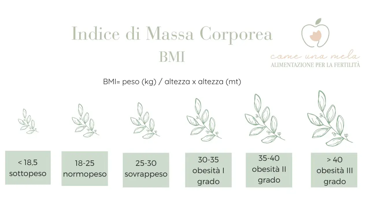 Indice di Massa Corporea (BMI) con categorie: sottopeso, normopeso (peso forma), sovrappeso e vari gradi di obesità.