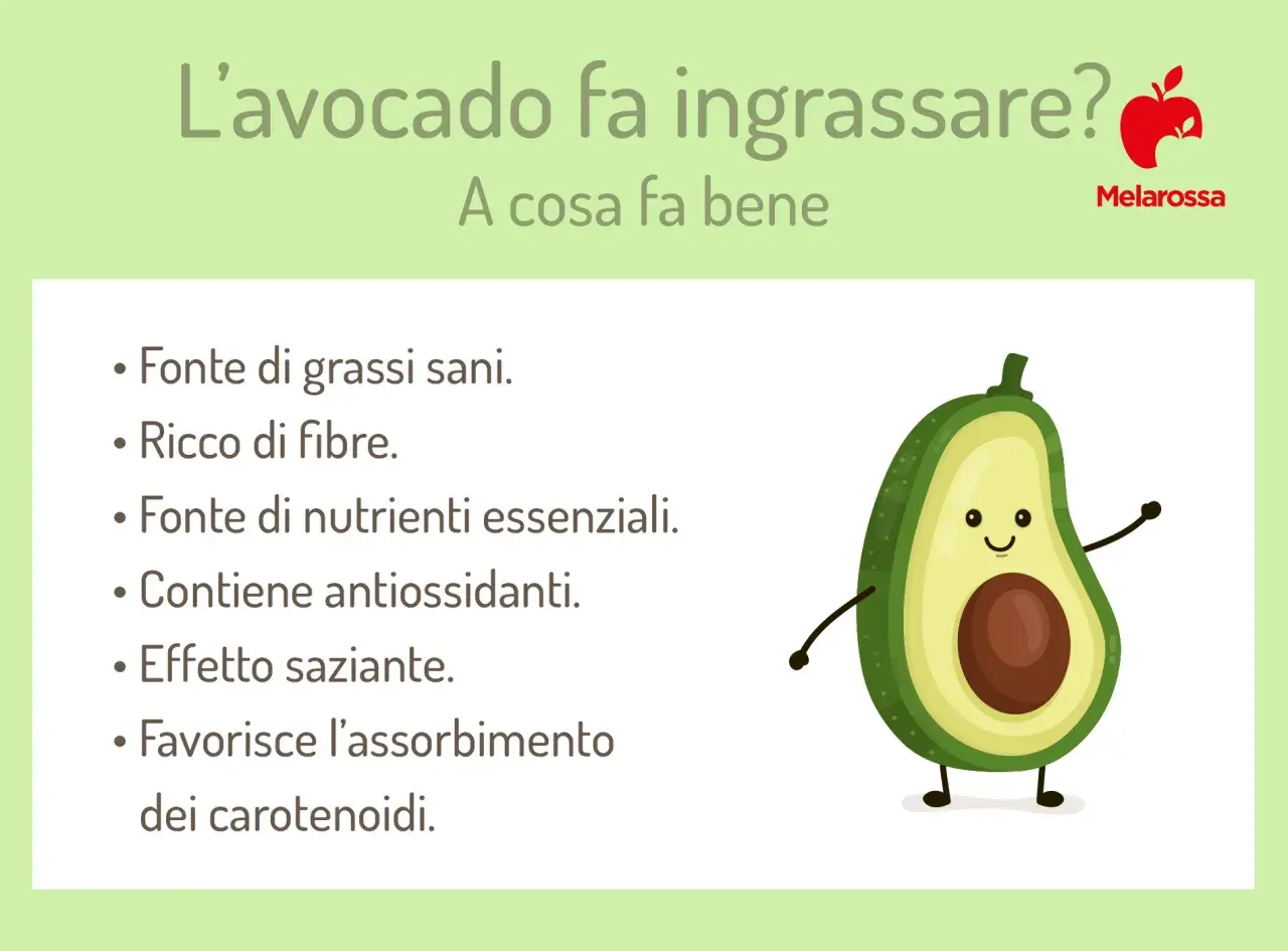 L'avocado fa dimagrire? Sì, grazie a grassi sani, fibre e effetto saziante. Scopri i suoi benefici.