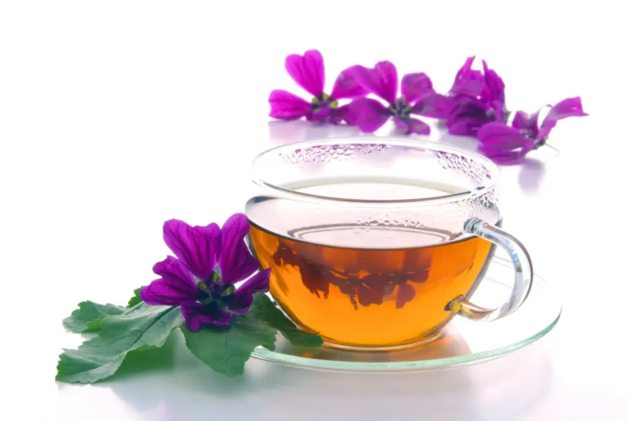 Tazza di vetro con decotto di malva fresca, fiori viola e foglie verdi. Un infuso rilassante, perfetto per le giuste dosi.