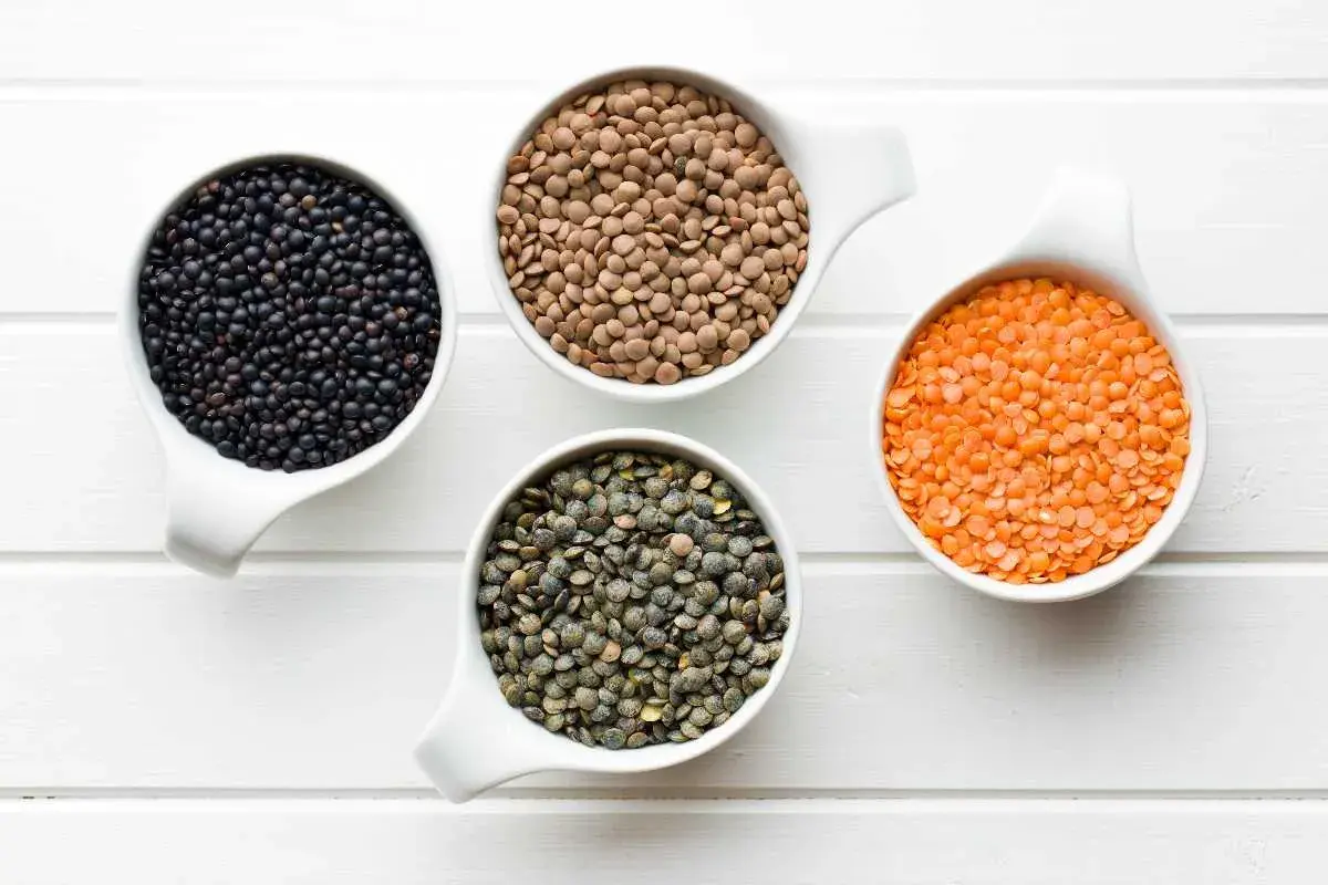 Quattro ciotole bianche mostrano cosa sono le lenticchie: nere, marroni, verdi e rosse, disposte su uno sfondo di legno bianco.