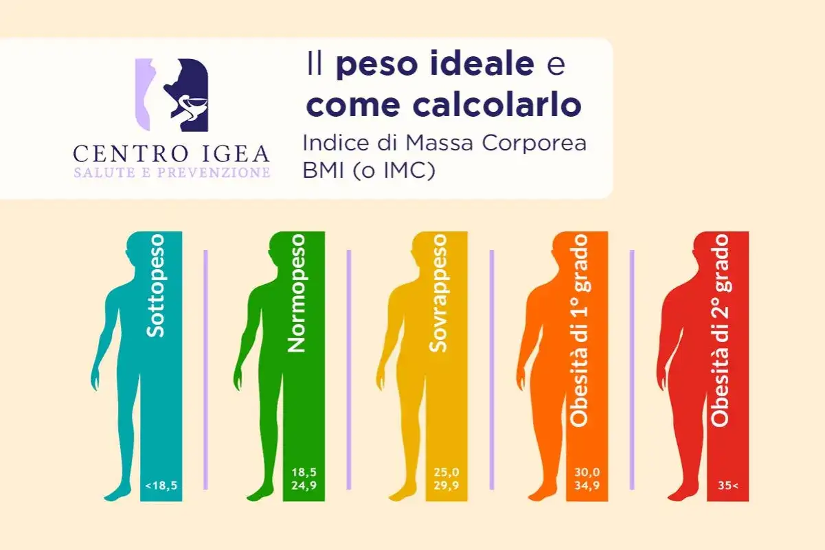 Grafico che illustra le categorie di peso corporeo: sottopeso, normopeso, sovrappeso e obesità di 1° e 2° grado, per definire il peso ideale.