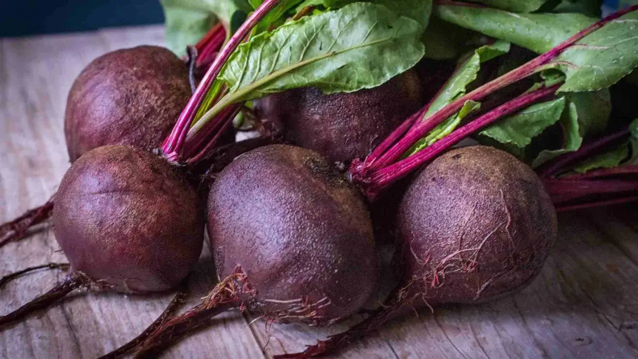 Barbabietola rossa, un alimento salutare che pu&ograve; aiutare a gestire il colon irritabile grazie alle sue fibre.