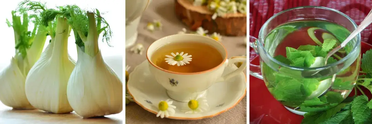 Finocchi, tisana alla camomilla e infuso alla menta: rimedi naturali per il mal di pancia.