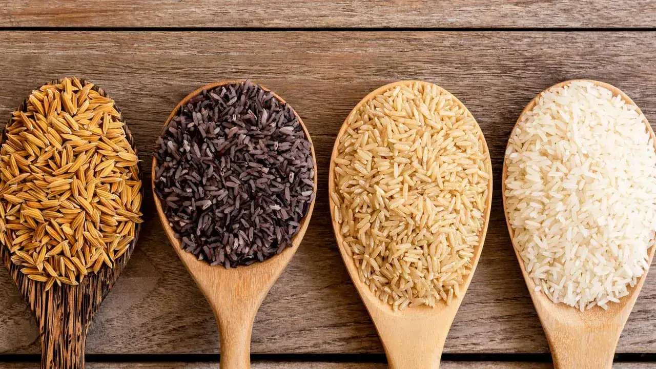 Quattro cucchiai di legno mostrano diverse variet&agrave; di riso: integrale, nero, basmati e bianco. Ogni tipo di riso ha propriet&agrave; uniche.