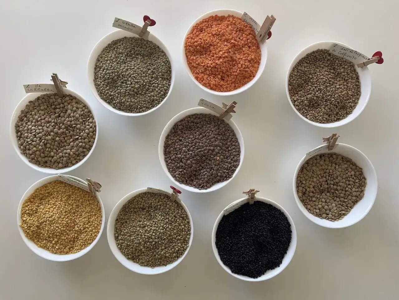 Ecco cosa sono le lenticchie: diverse varietà in ciotole, da quelle verdi a quelle rosse, marroni e nere, ognuna con la sua etichetta.