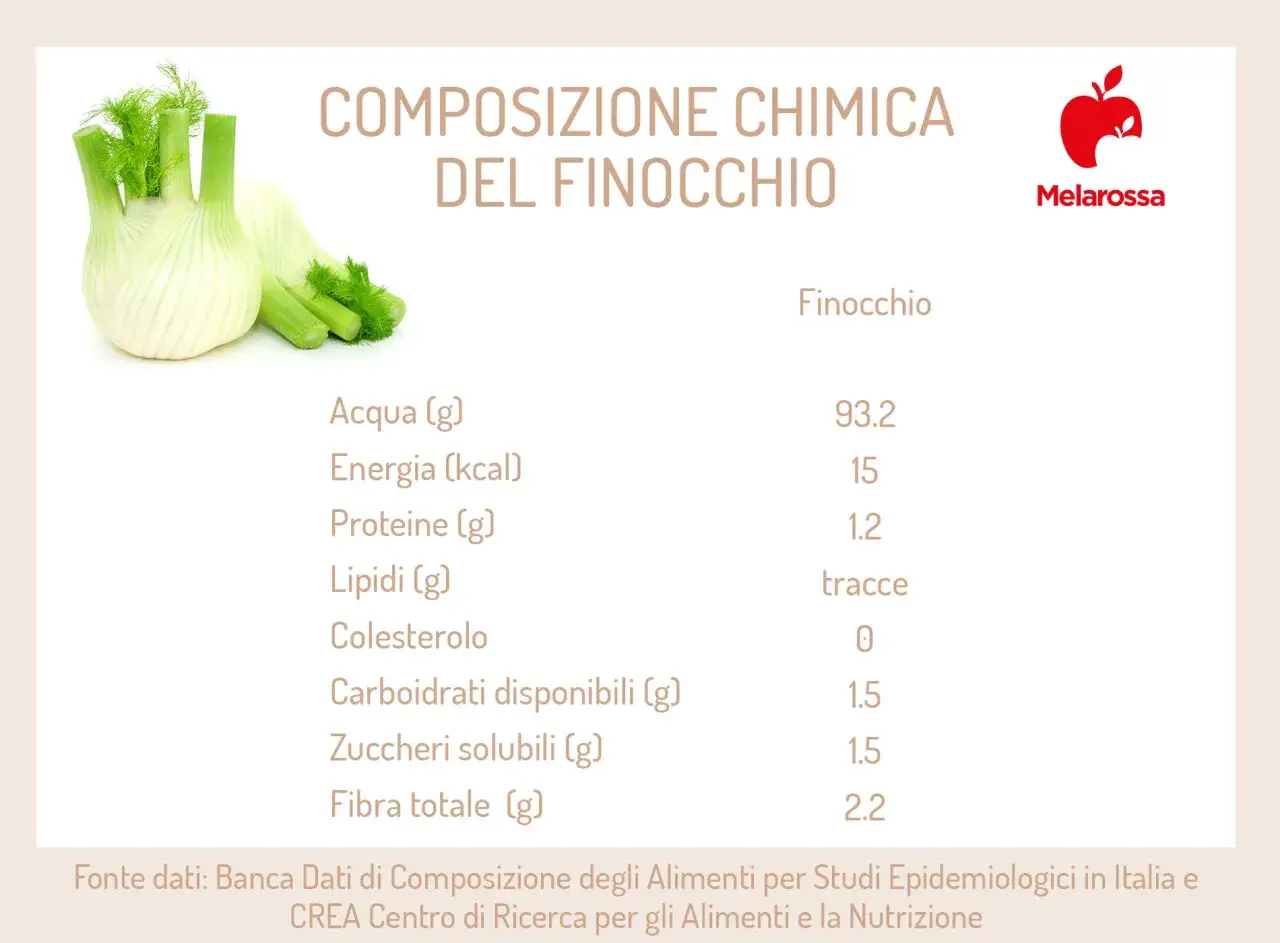 Composizione chimica del finocchio, che contiene 2.2g di fibra totale. I finocchi sono lassativi.