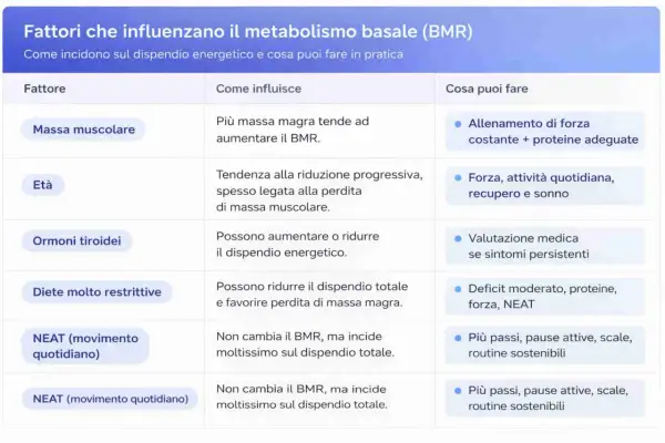 Tabella sui fattori che influenzano il metabolismo basale (BMR): massa muscolare, età, ormoni tiroidei, diete e NEAT.