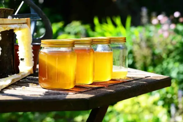 Barattoli di miele dorato, con un favo e un'ape. Le diverse tonalità mostrano le caratteristiche del miele.