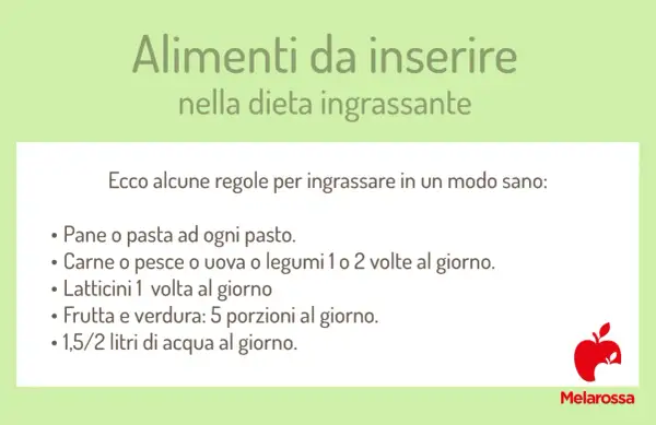 Guida per come prendere peso con un metabolismo veloce: pane, pasta, carne, pesce, uova, legumi, latticini, frutta, verdura e acqua.