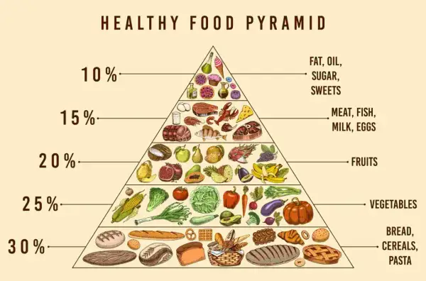La piramide alimentare dieta mediterranea mostra cereali, verdura, frutta, proteine e grassi.