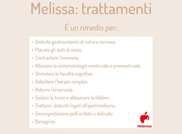 Melissa: trattamenti per disturbi nervosi, ansia, insonnia, emicrania e altro. Le sue proprietà la rendono un valido aiuto.