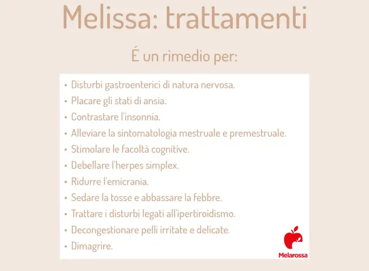 Melissa - Proprietà, usi e limiti reali